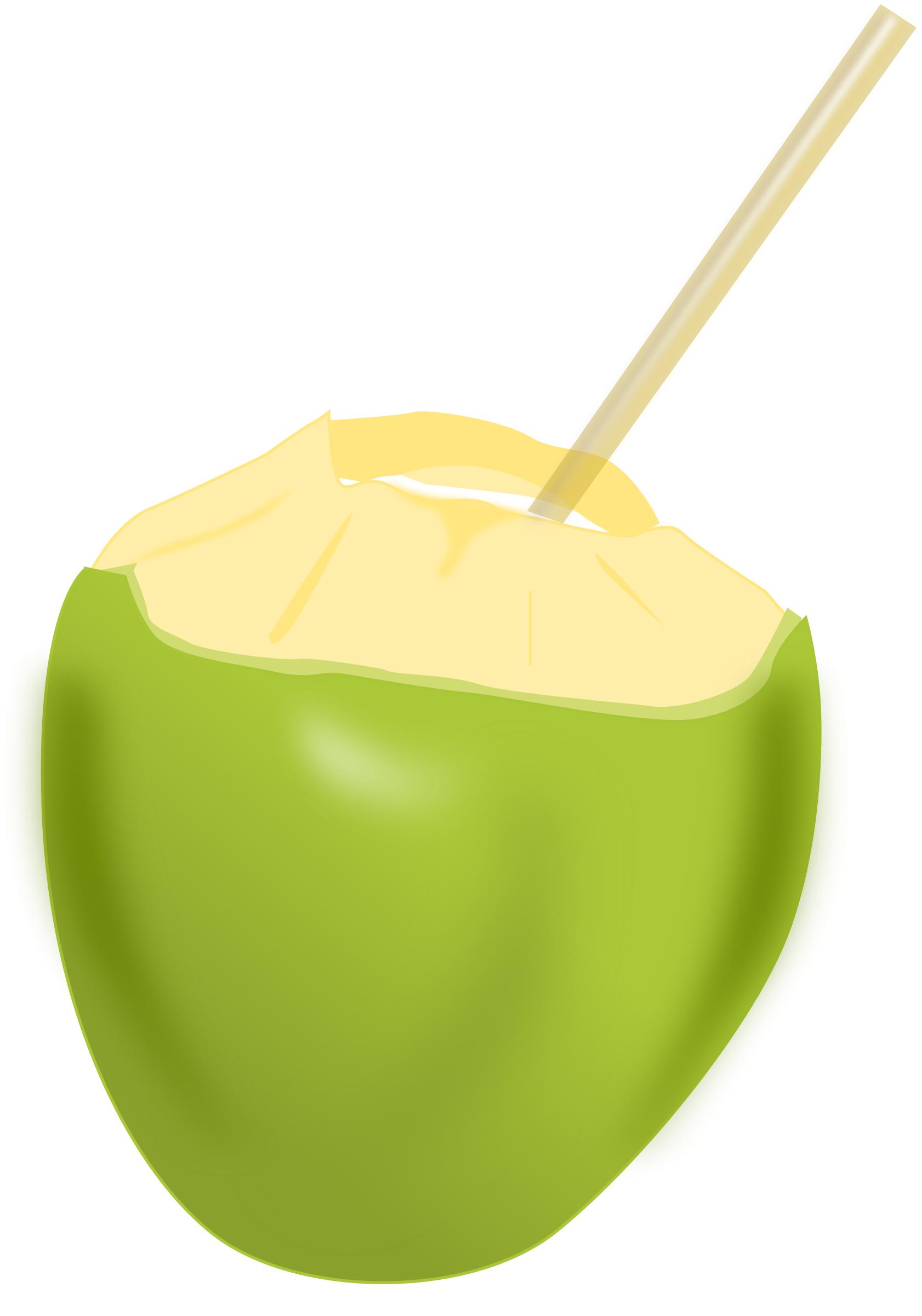 Coconut png