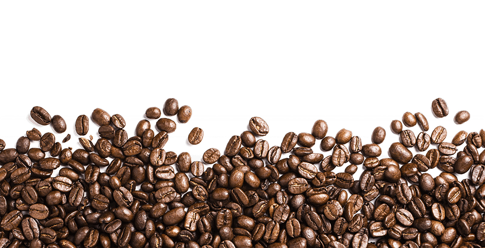 Coffee Beans Footer png icons