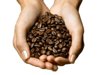 Coffee Beans In Hands icons