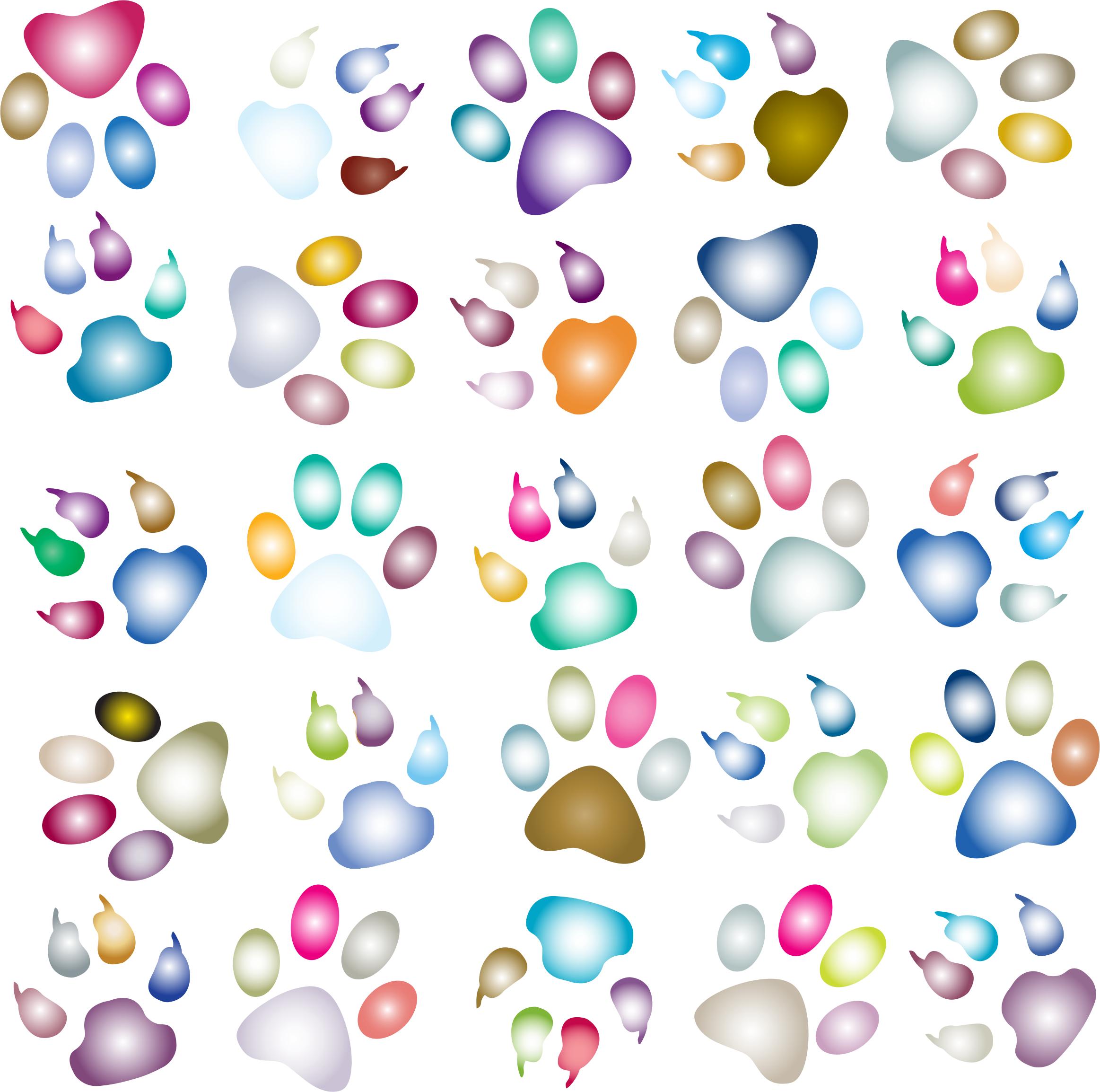 Colorful Paw Prints Pattern Background Reinvigorated 3 No Black background png