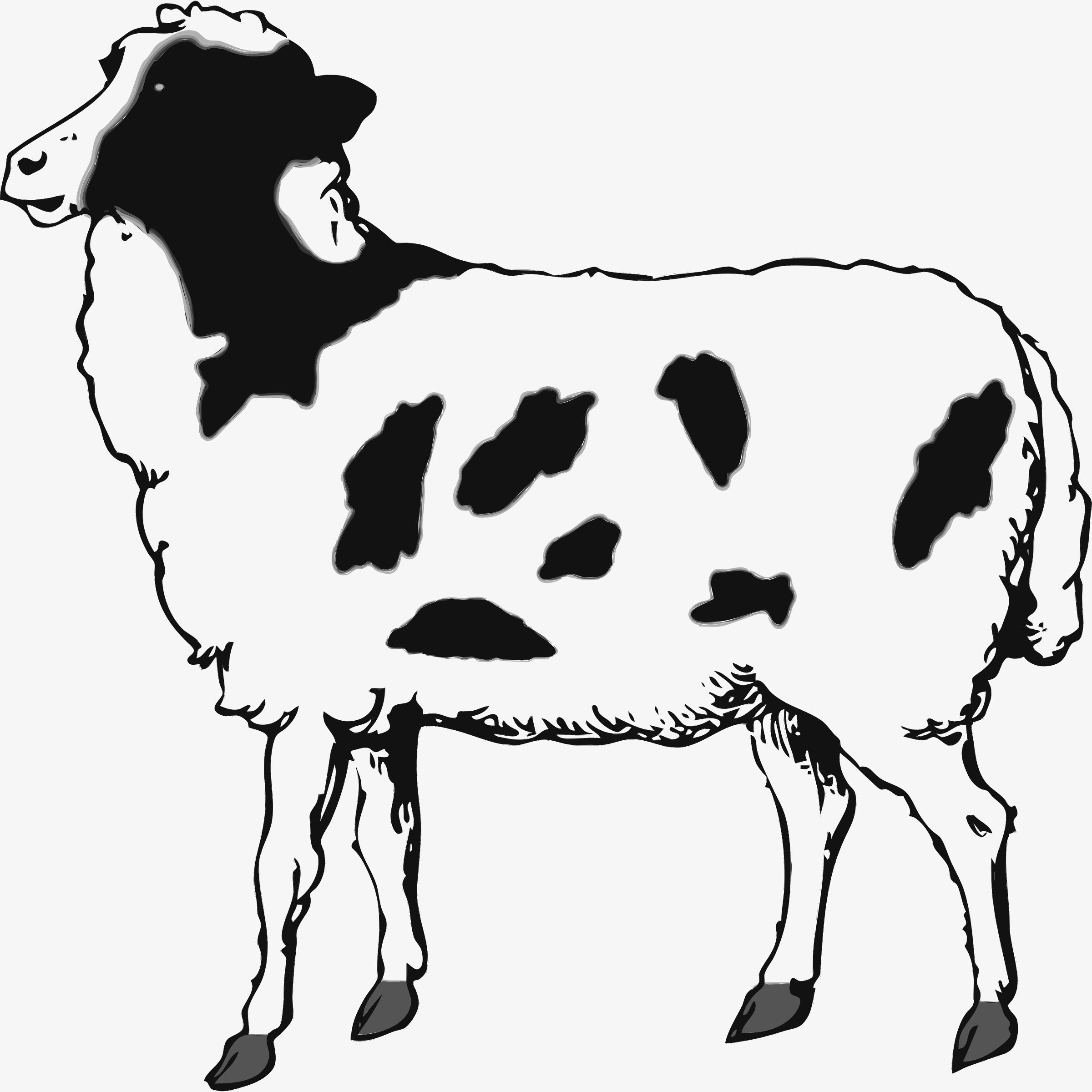 Coloured Sheep png