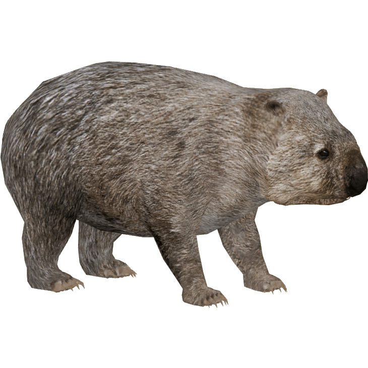 Common Wombat icons