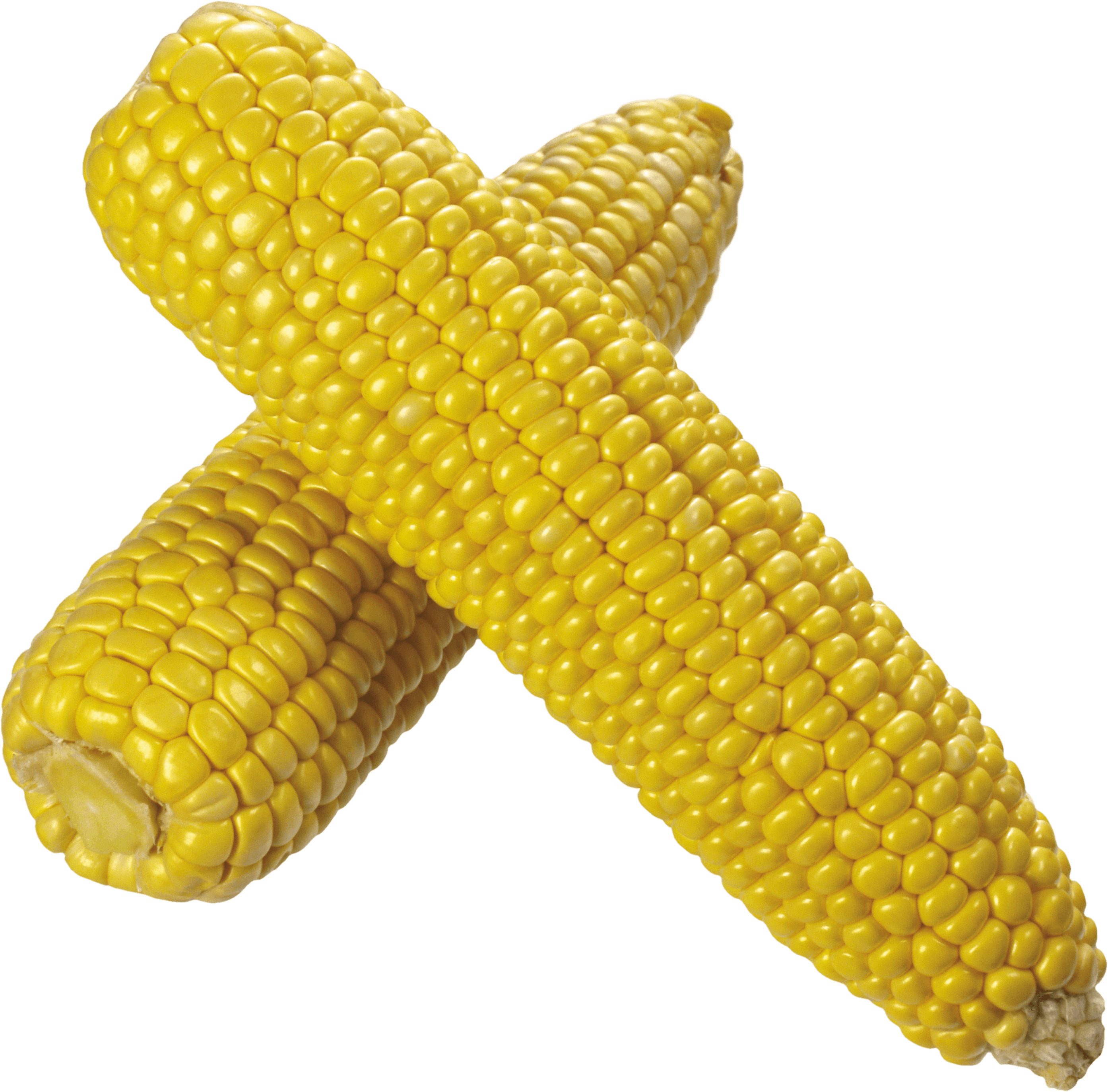 Corn Duo png icons