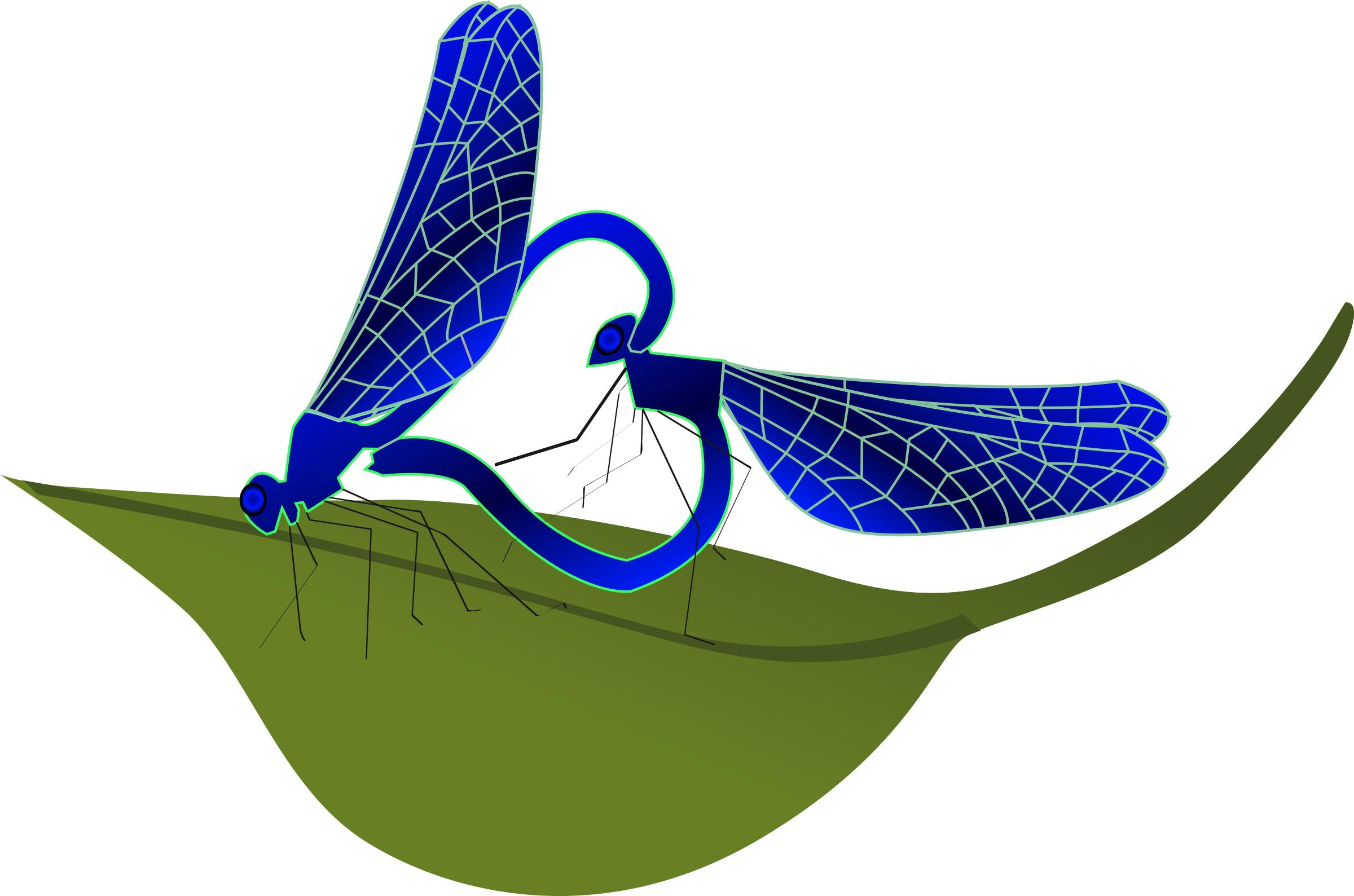 coupling dragonfly png