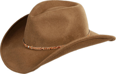 Cowboy Hat icons