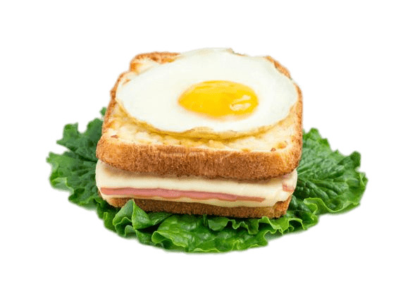 Croque Madame With Salad png icons