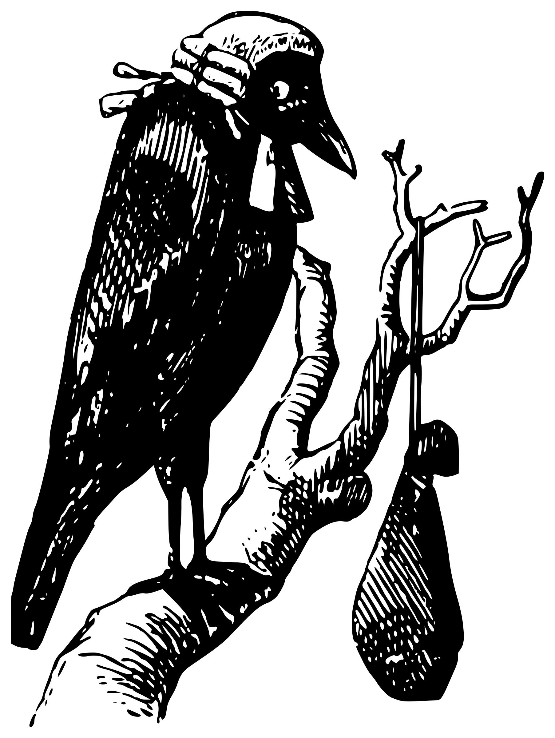 Crow judge in a tree with a bag of gold png