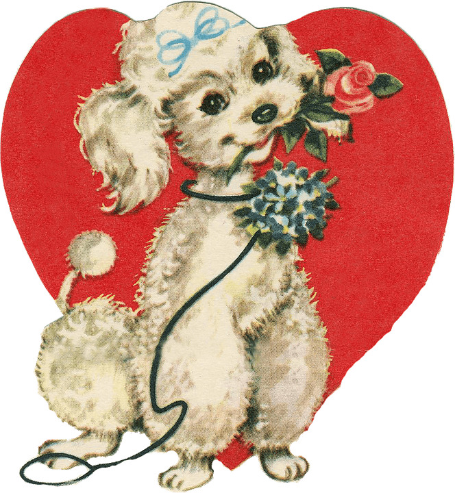 Cute Little Dog Holding A Rose icons