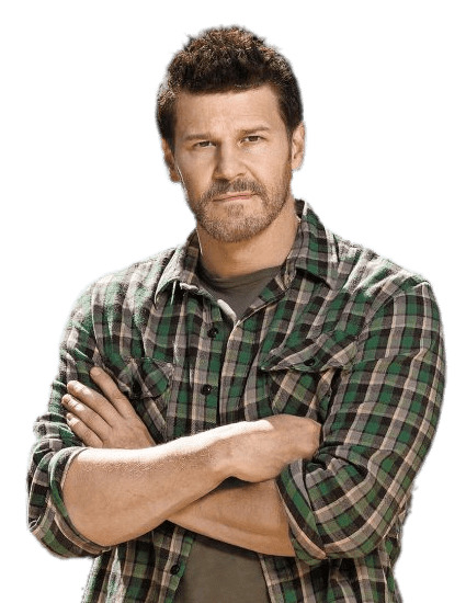 David Boreanaz Arms Crossed png icons
