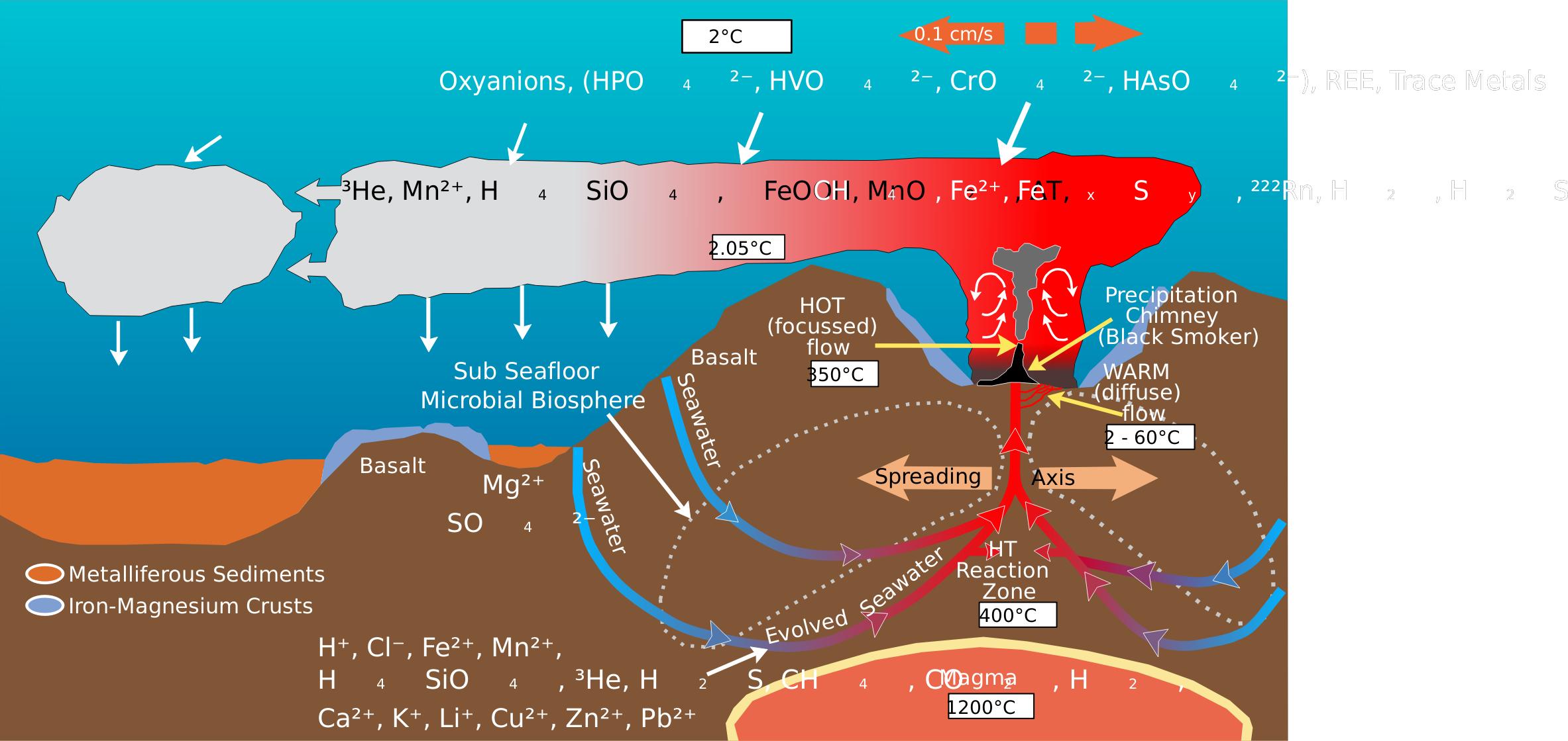 Deep Sea Vent Chemistry Diagram png