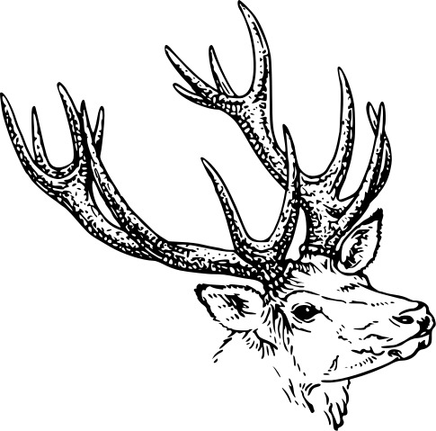 Deer Illustration Bw png icons
