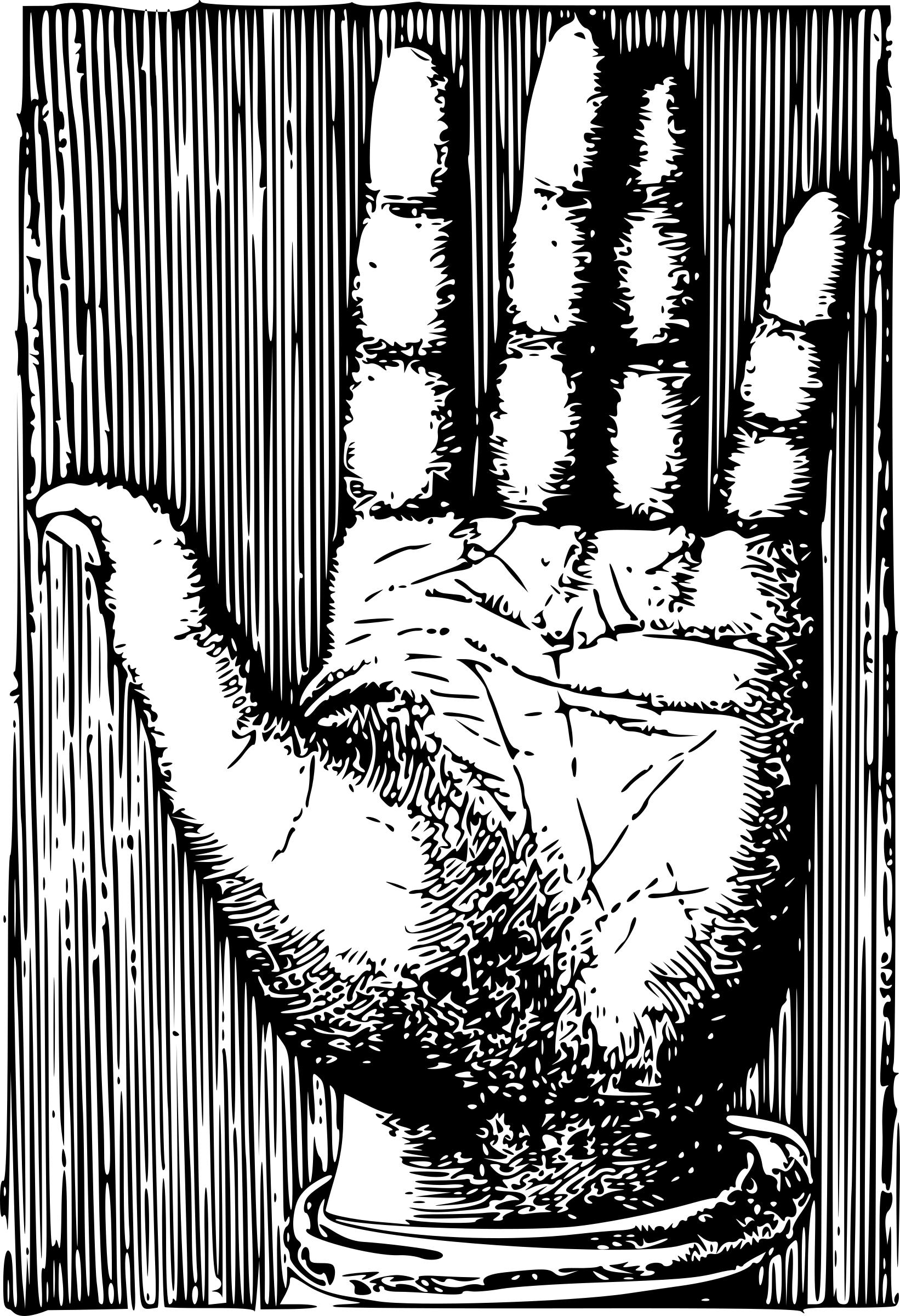 Detailed Palm for Palm Reading png
