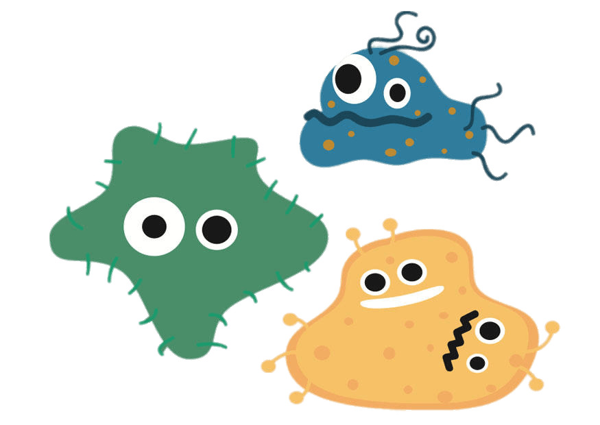 Different Bacteria Cartoon png icons