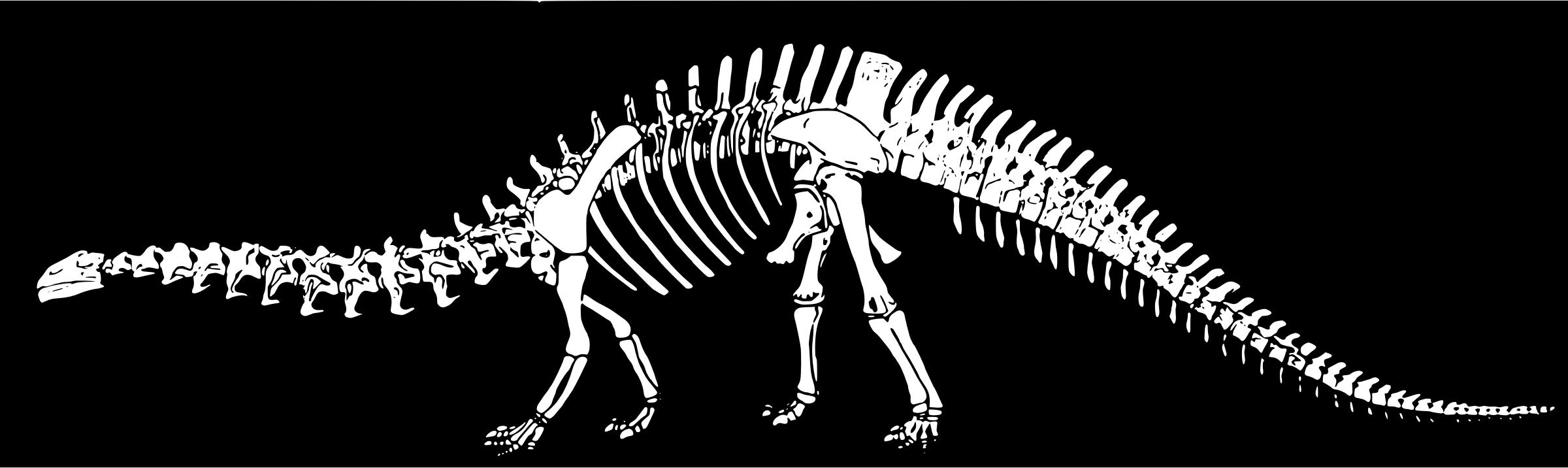 Dinosaur Bones png
