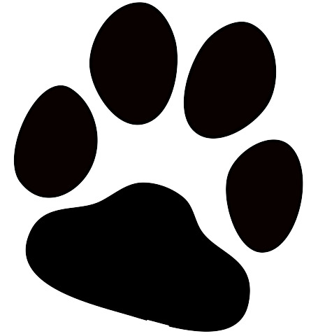 Dog Paw Print icons