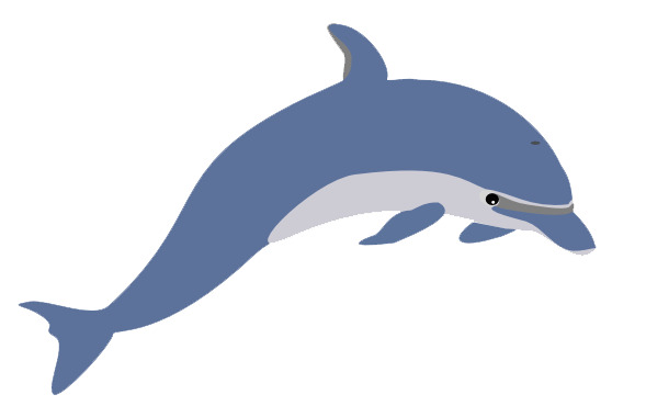 Dolphin Illustration icons