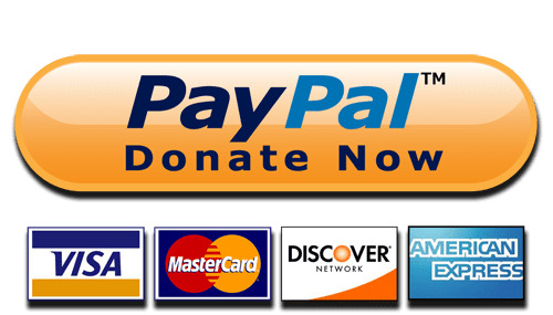Donate Now Paypal and Cards Button icons