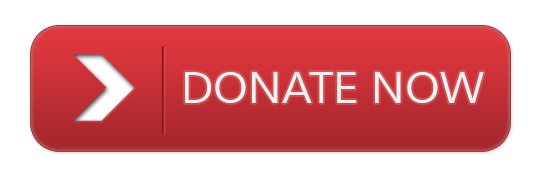 Donate Now Red Button png icons