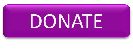 Donate Purple Button icons
