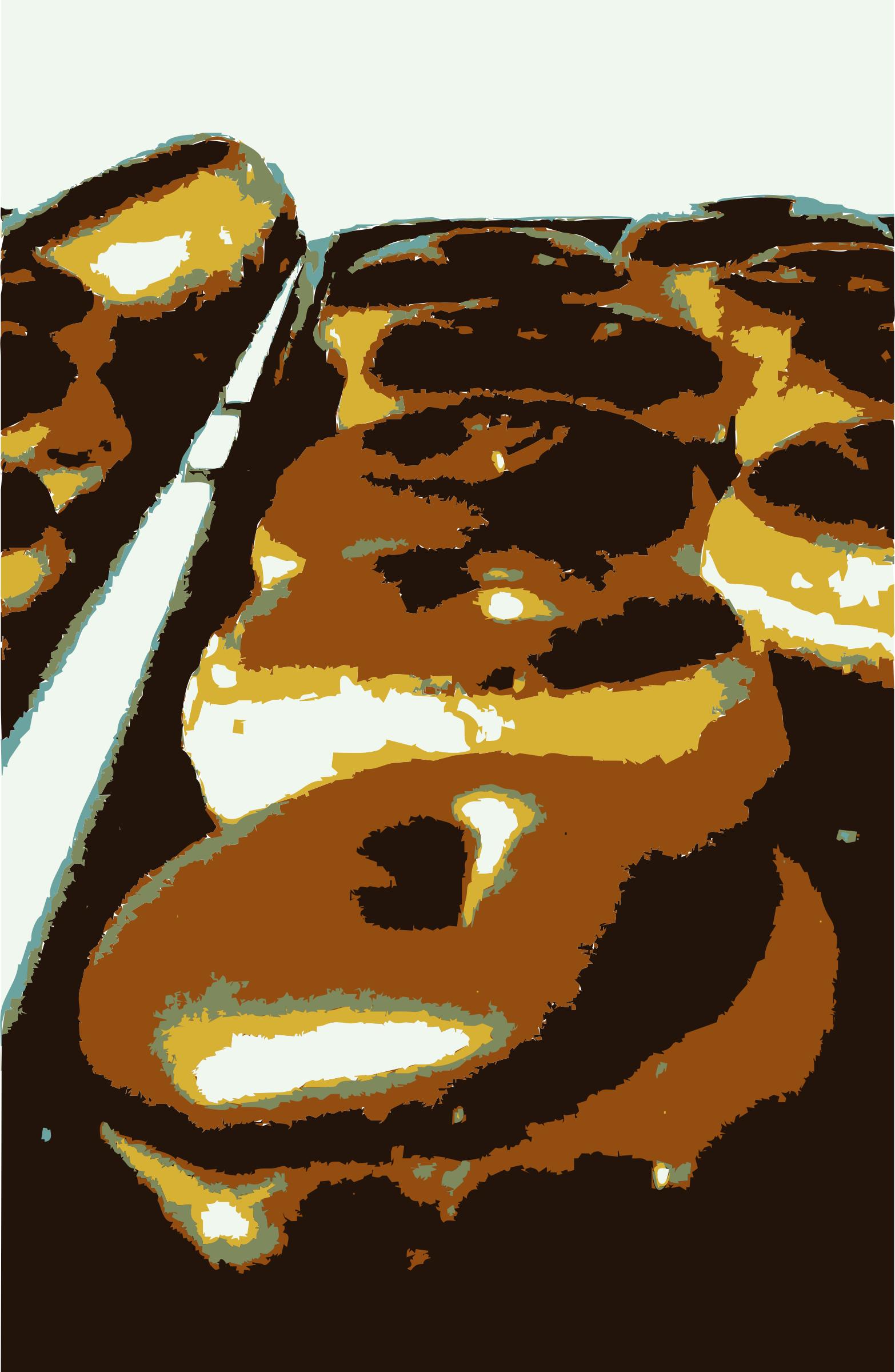 Donuts png