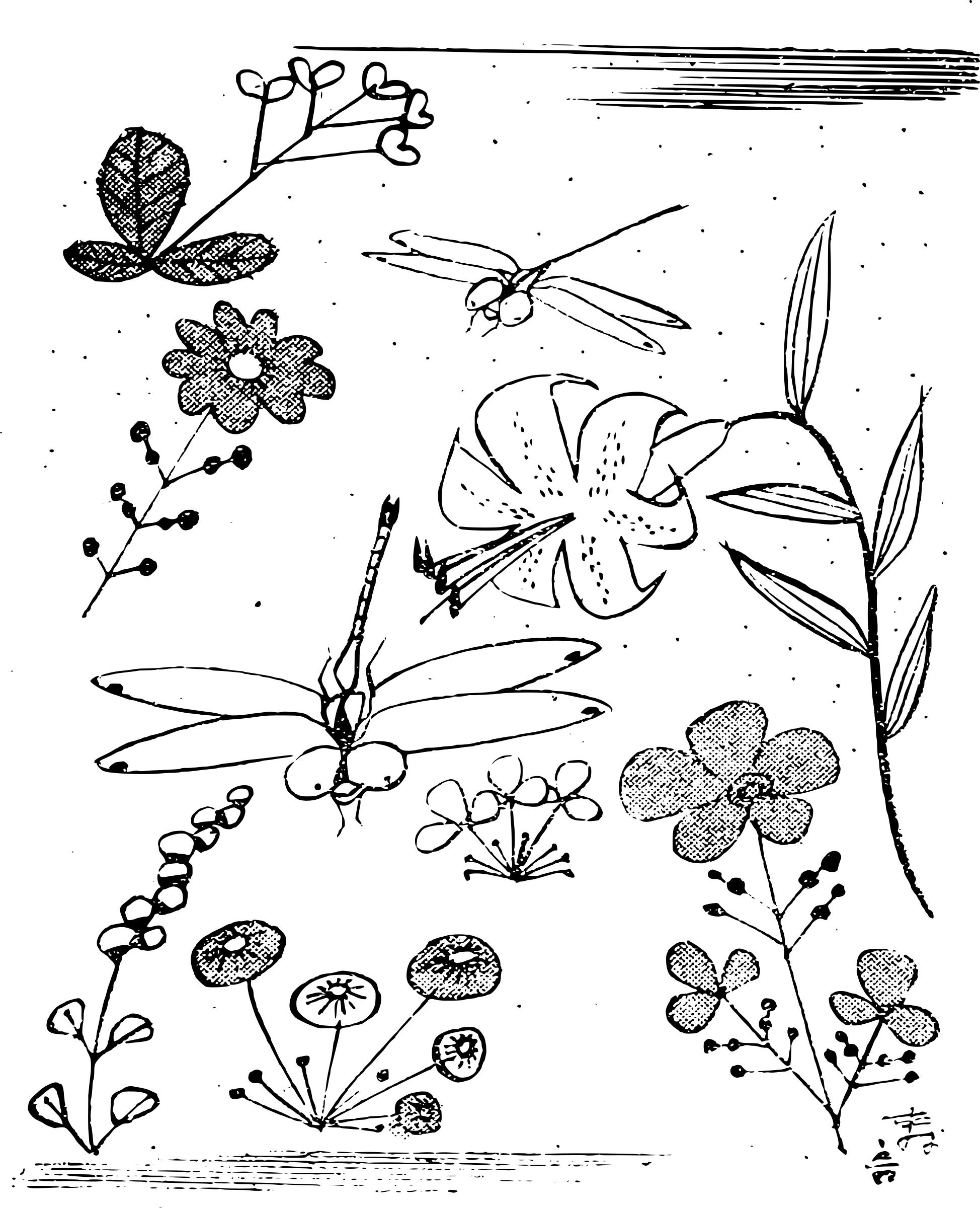 Dragonflies and Flowers png