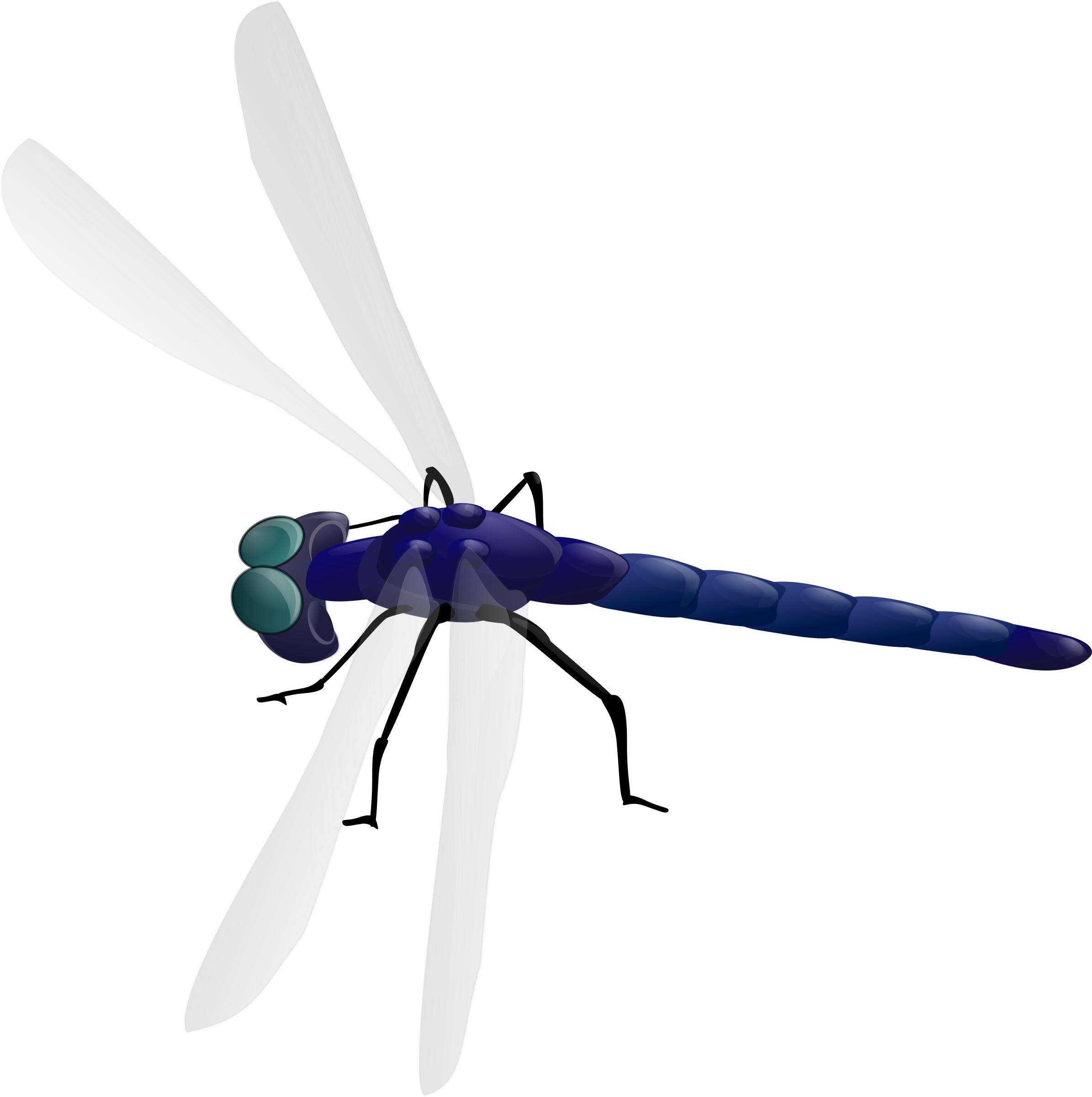 Dragonfly png
