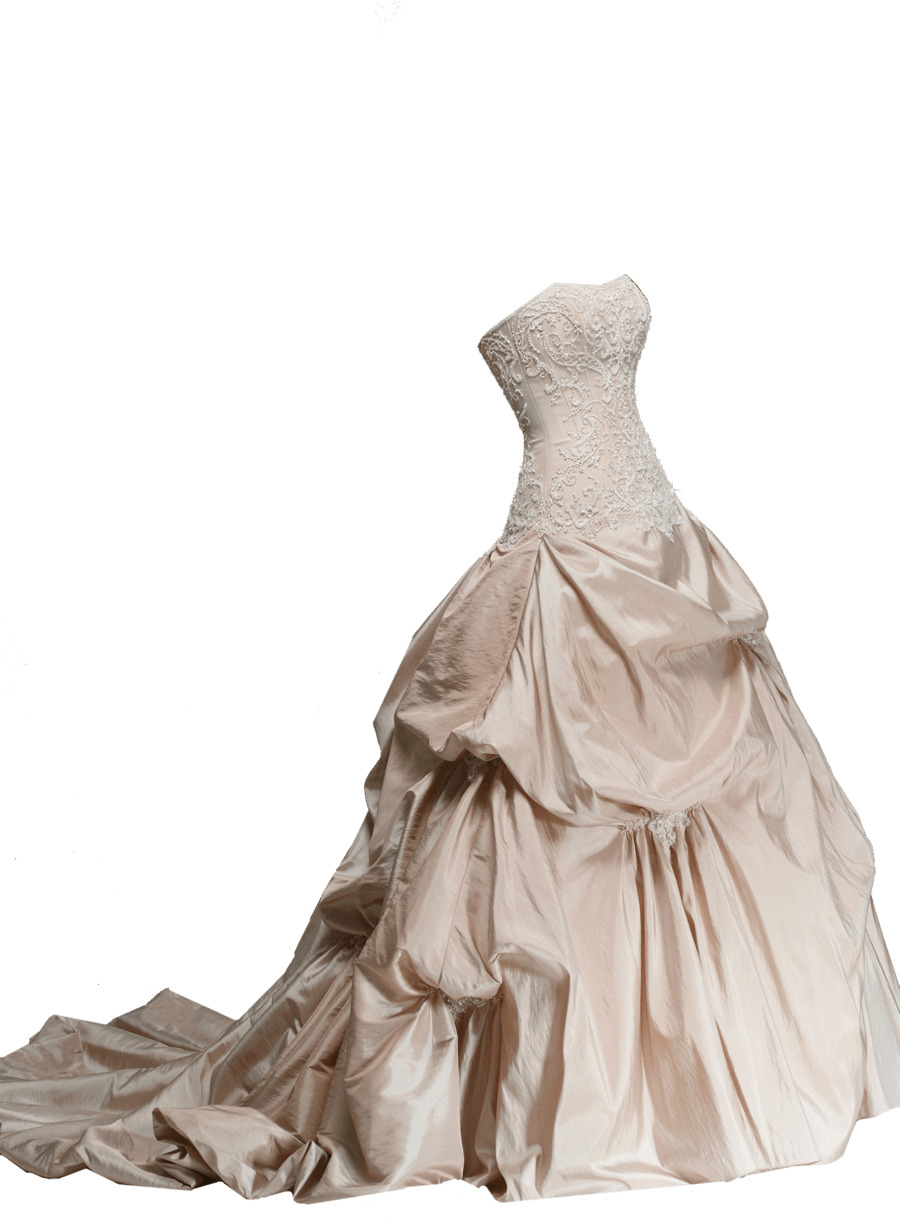 Dress Wedding Sideview png
