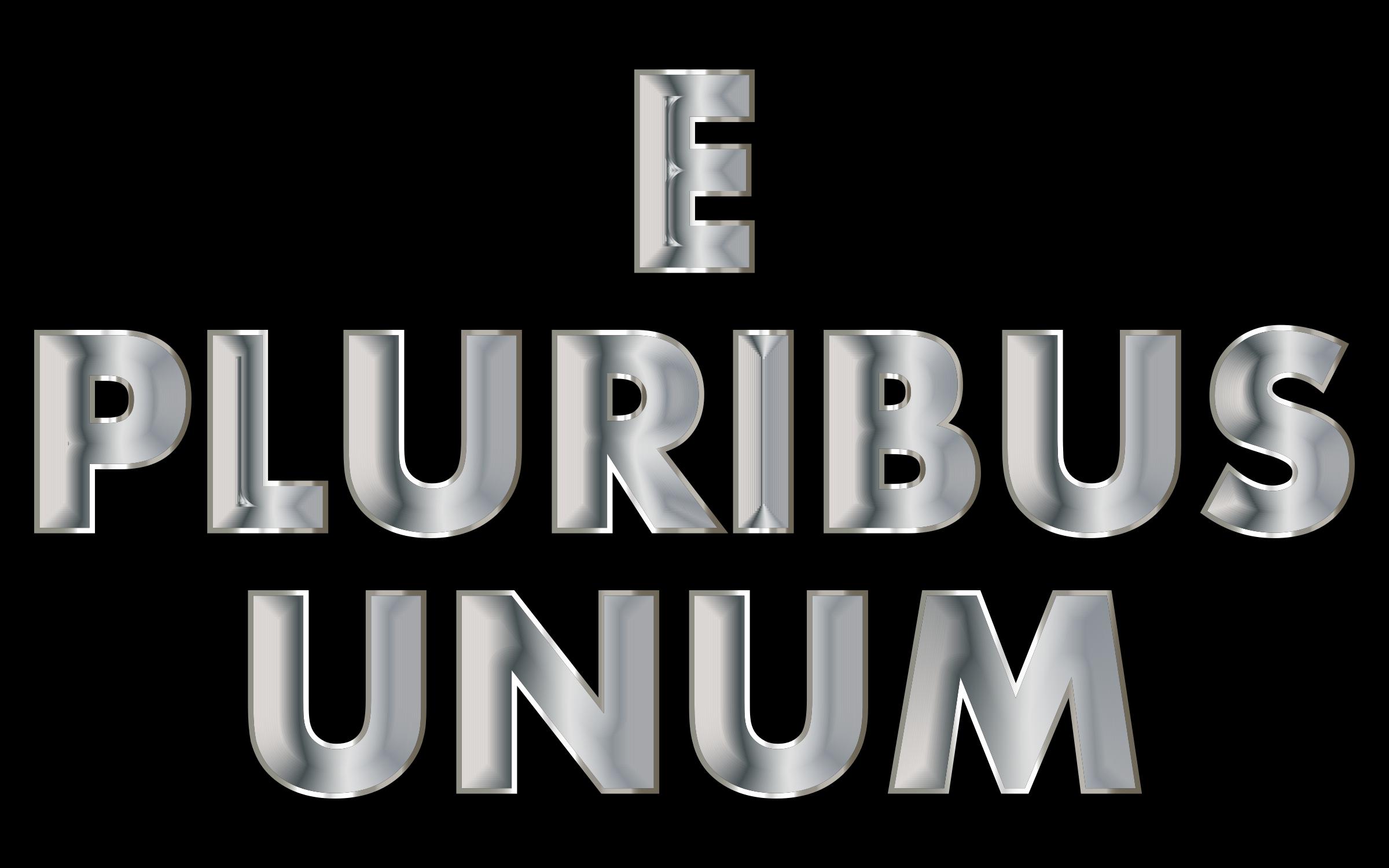 E Pluribus Unum Stainless Steel Typography icons
