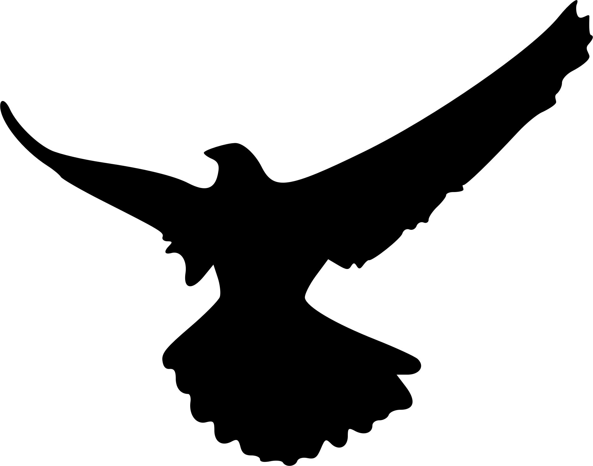 Eagle silhouette 5 png