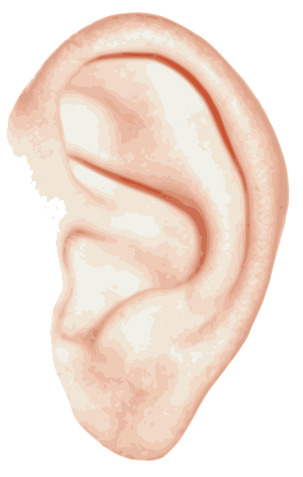 Ear Single icons