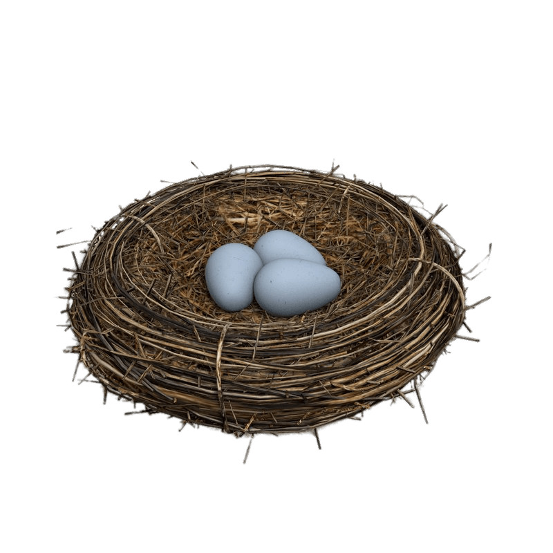 Eggs In Bird Nest png icons