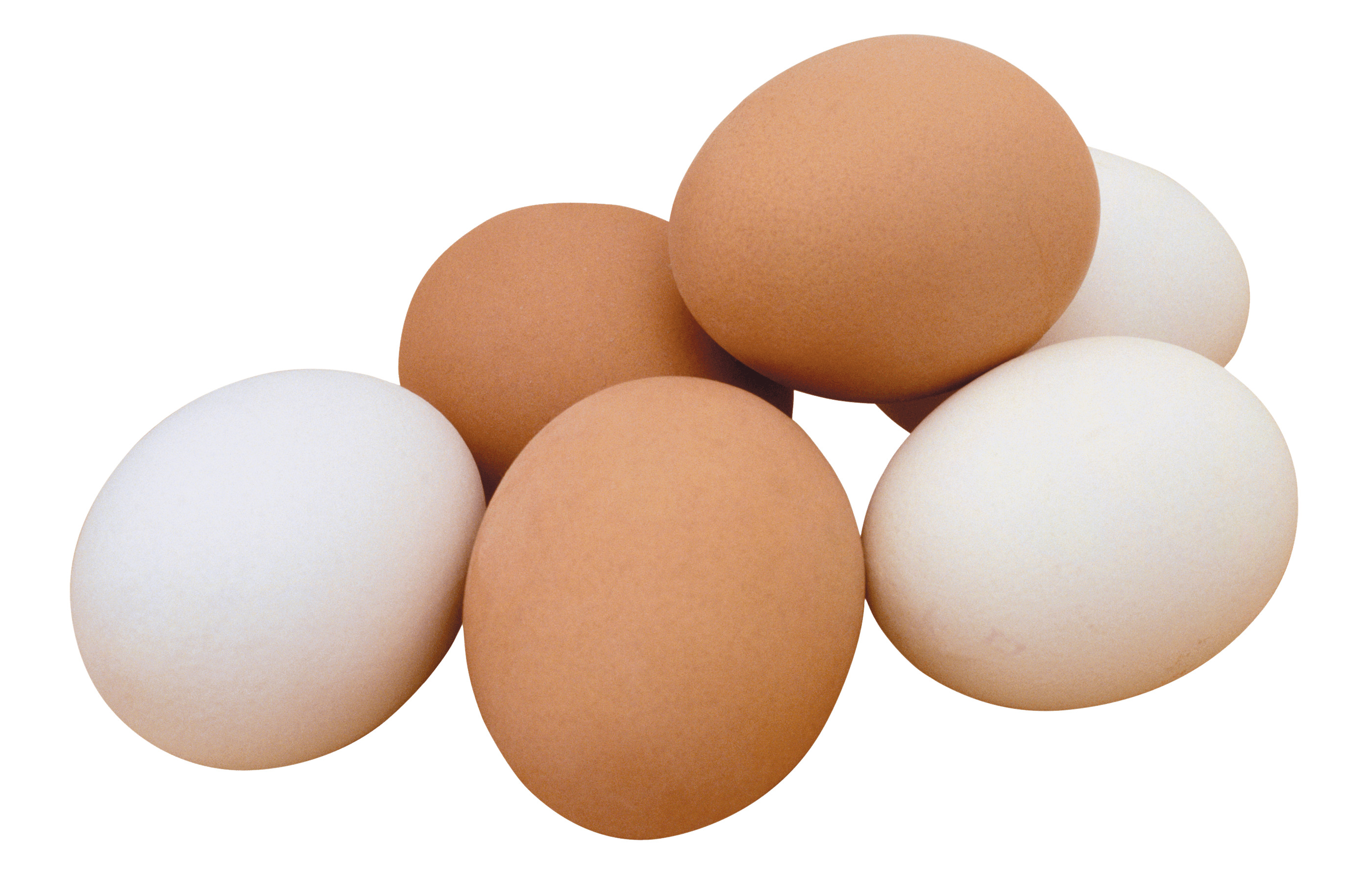 Eggs png icons