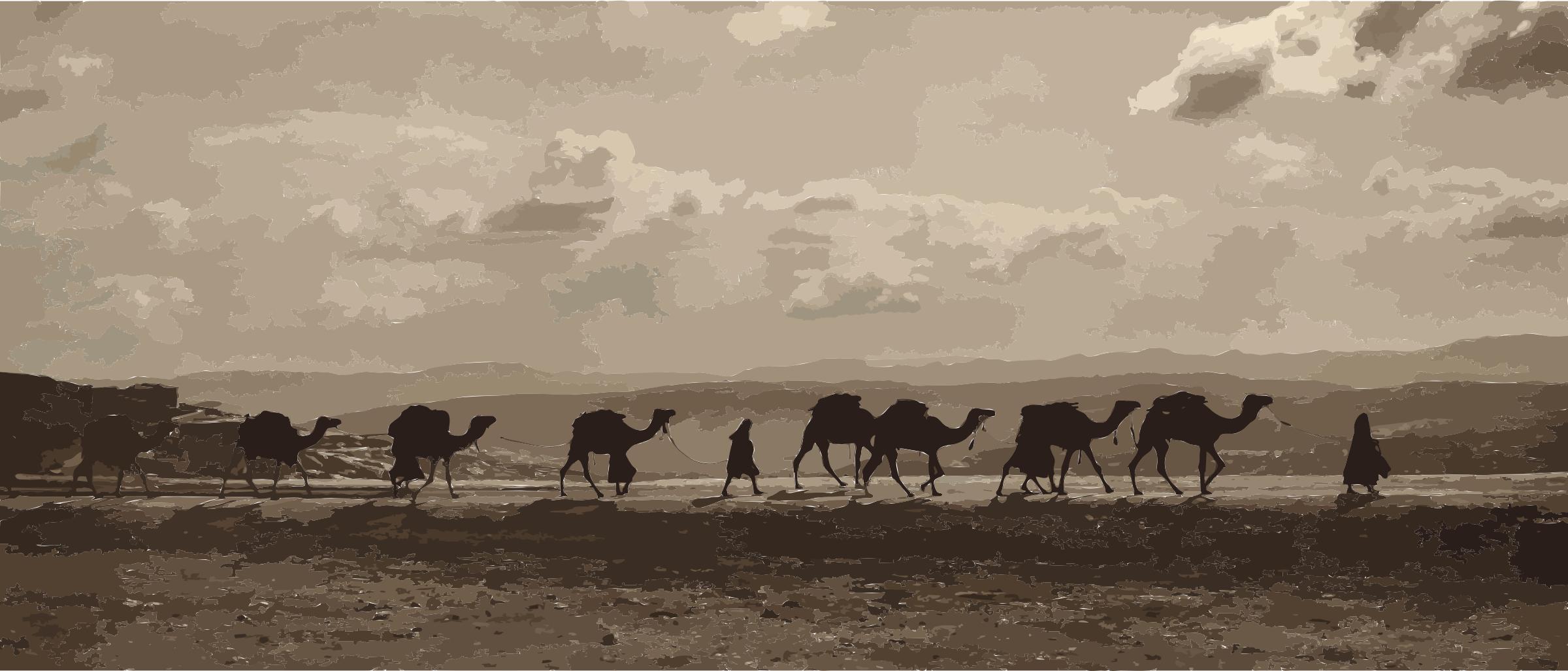 Egyptian camel transport3 png