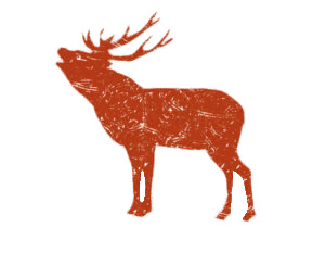 Elk Drawing png icons