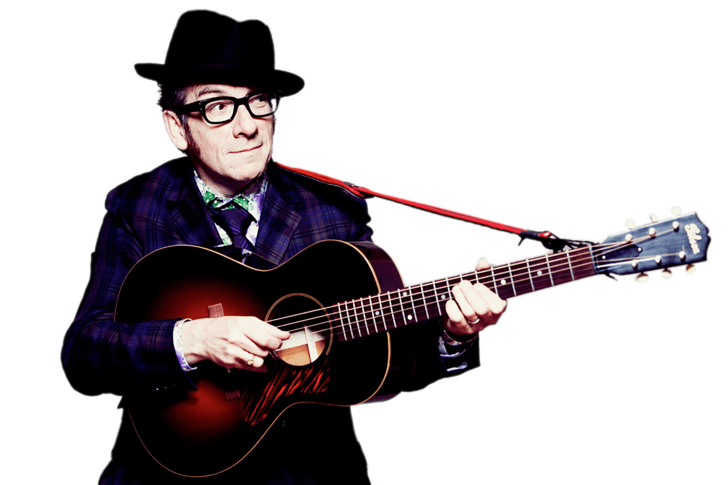 Elvis Costello Holding His Guitar icons
