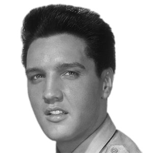 Elvis Presley Portrait Black and White png