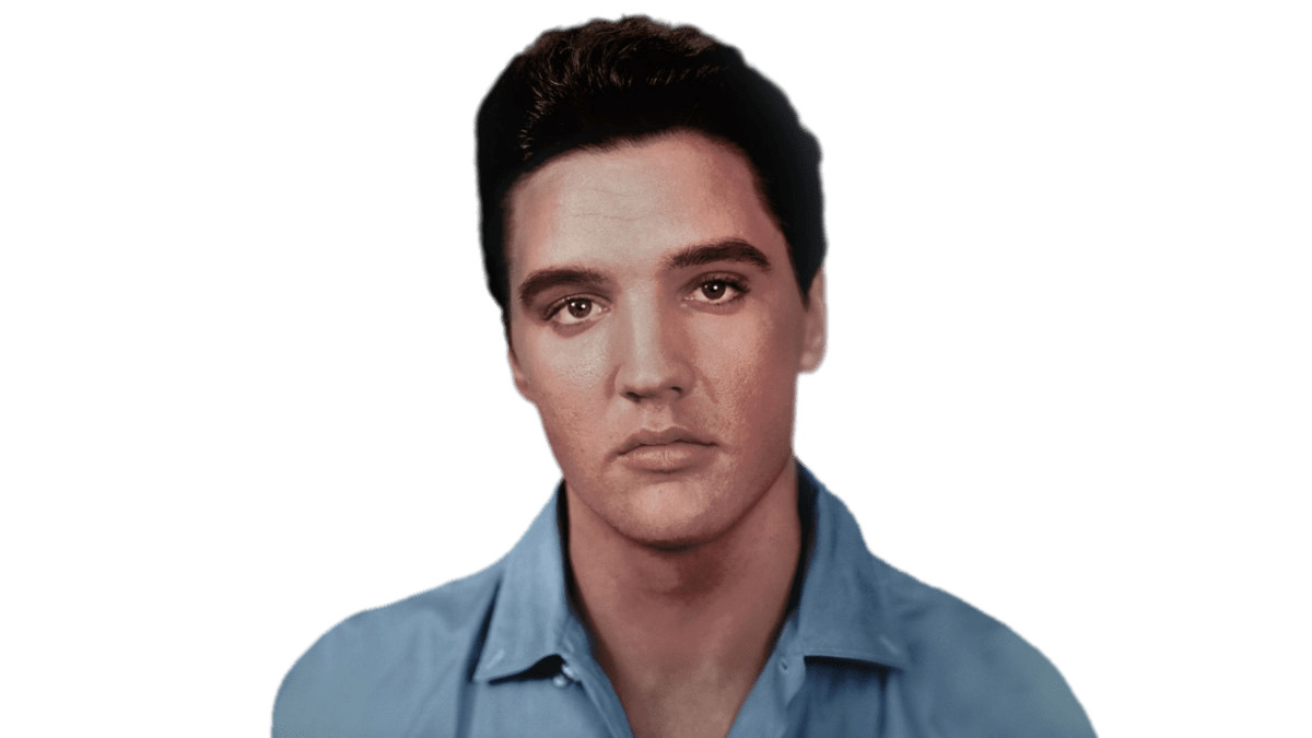 Elvis Presley Portrait icons