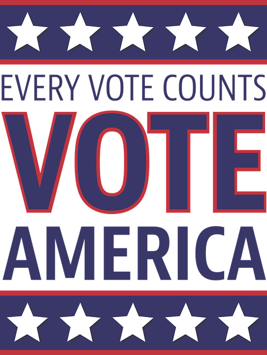 Every Vote Counts America icons