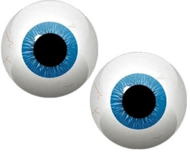 Eyeballs Blue Eyes png icons