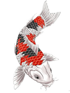 Fish Japanese Tattoo png
