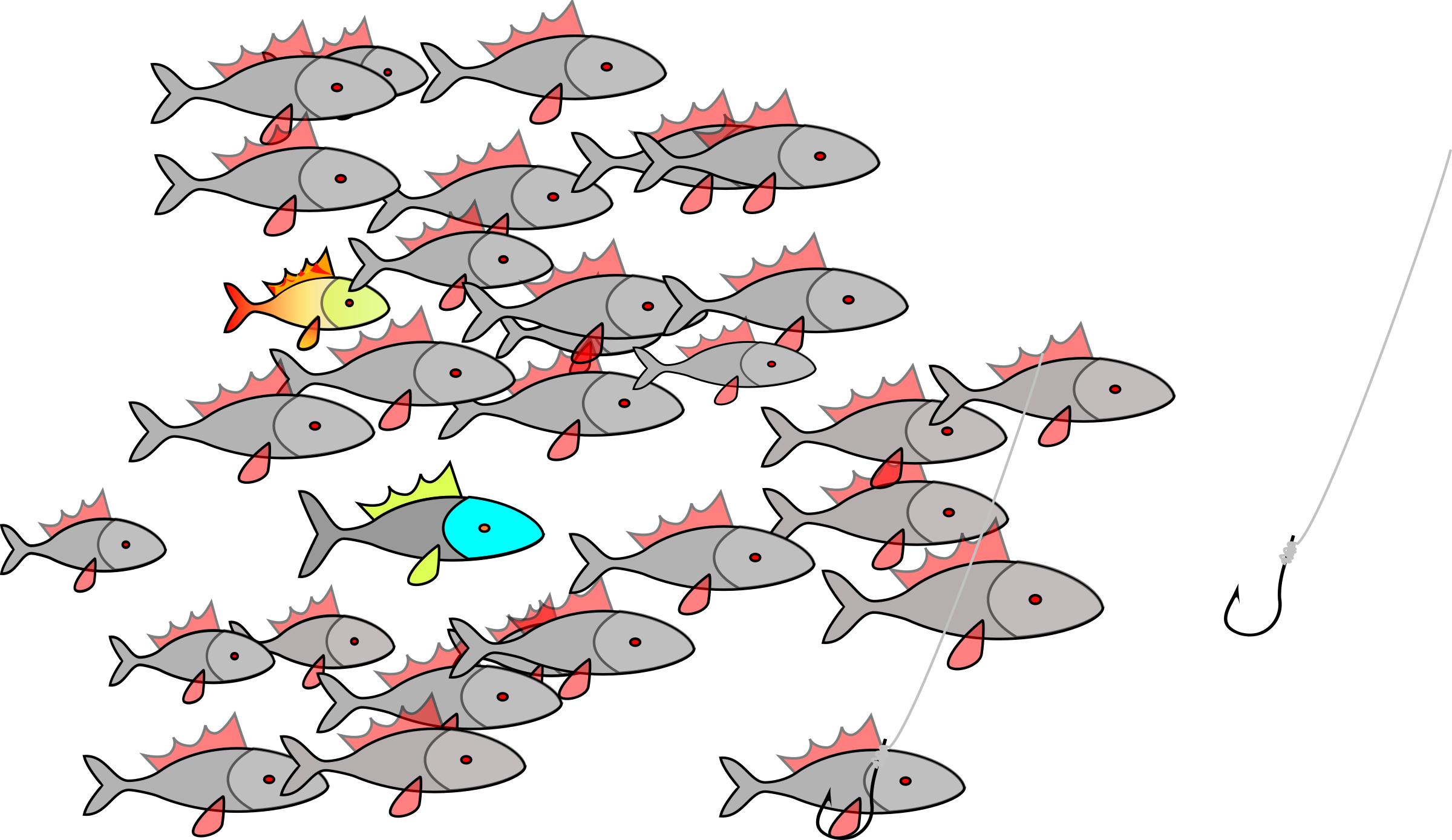 fishes  png