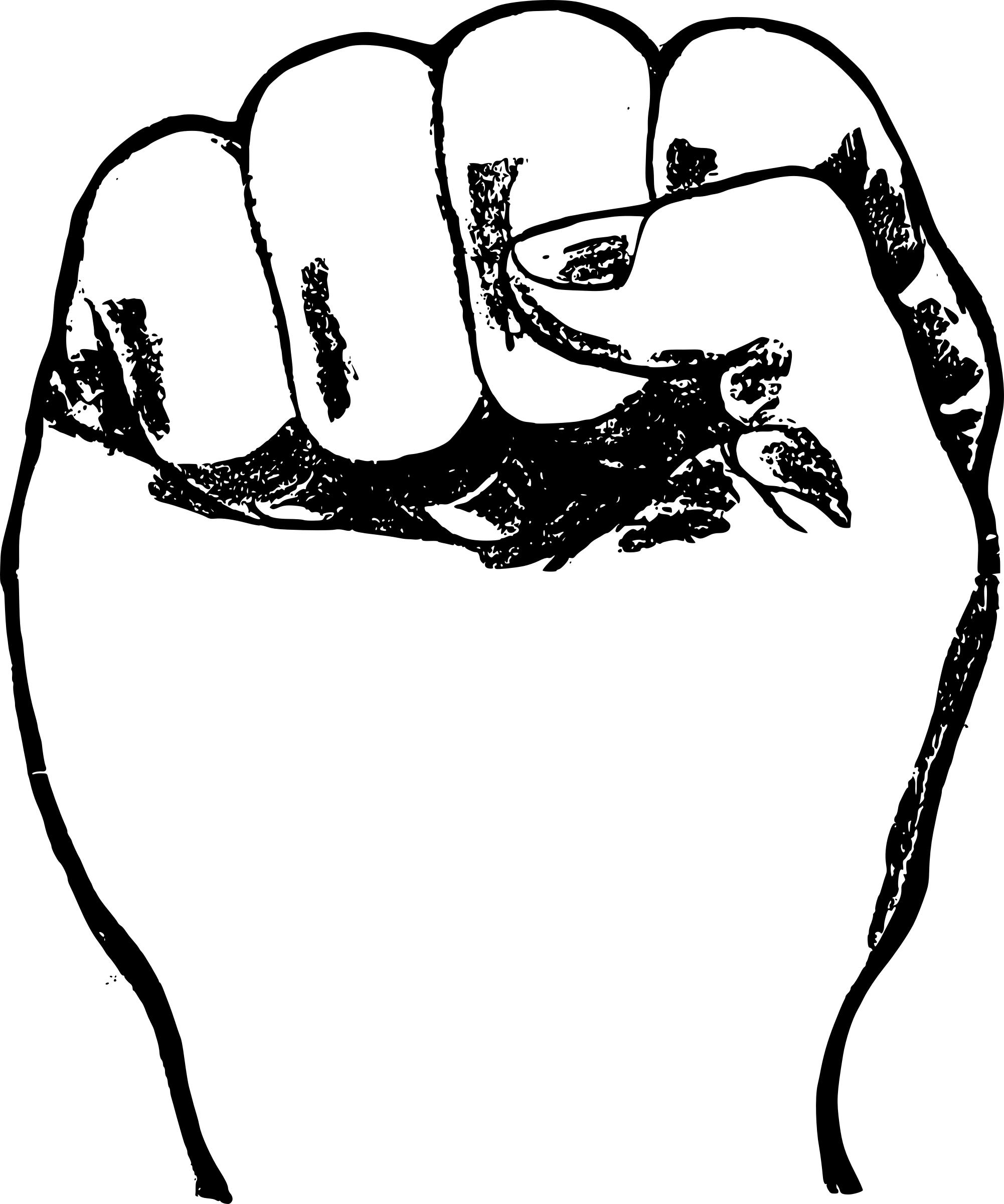Fist in the Air png
