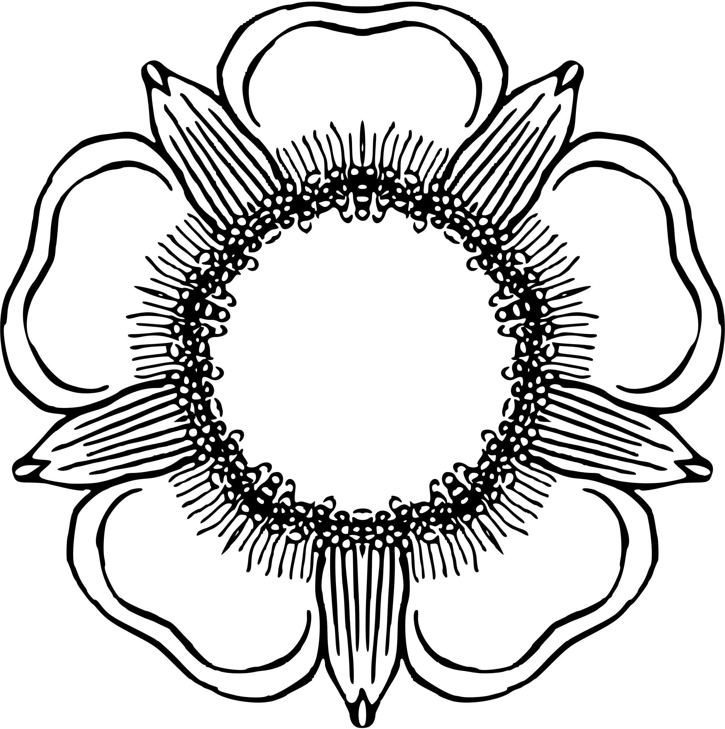 Flower 48 png