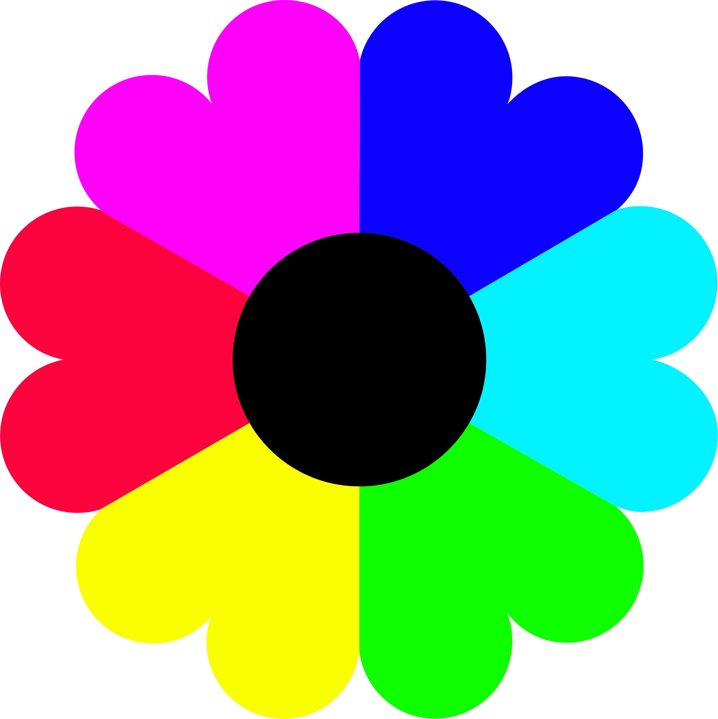 Flower 7 colors png