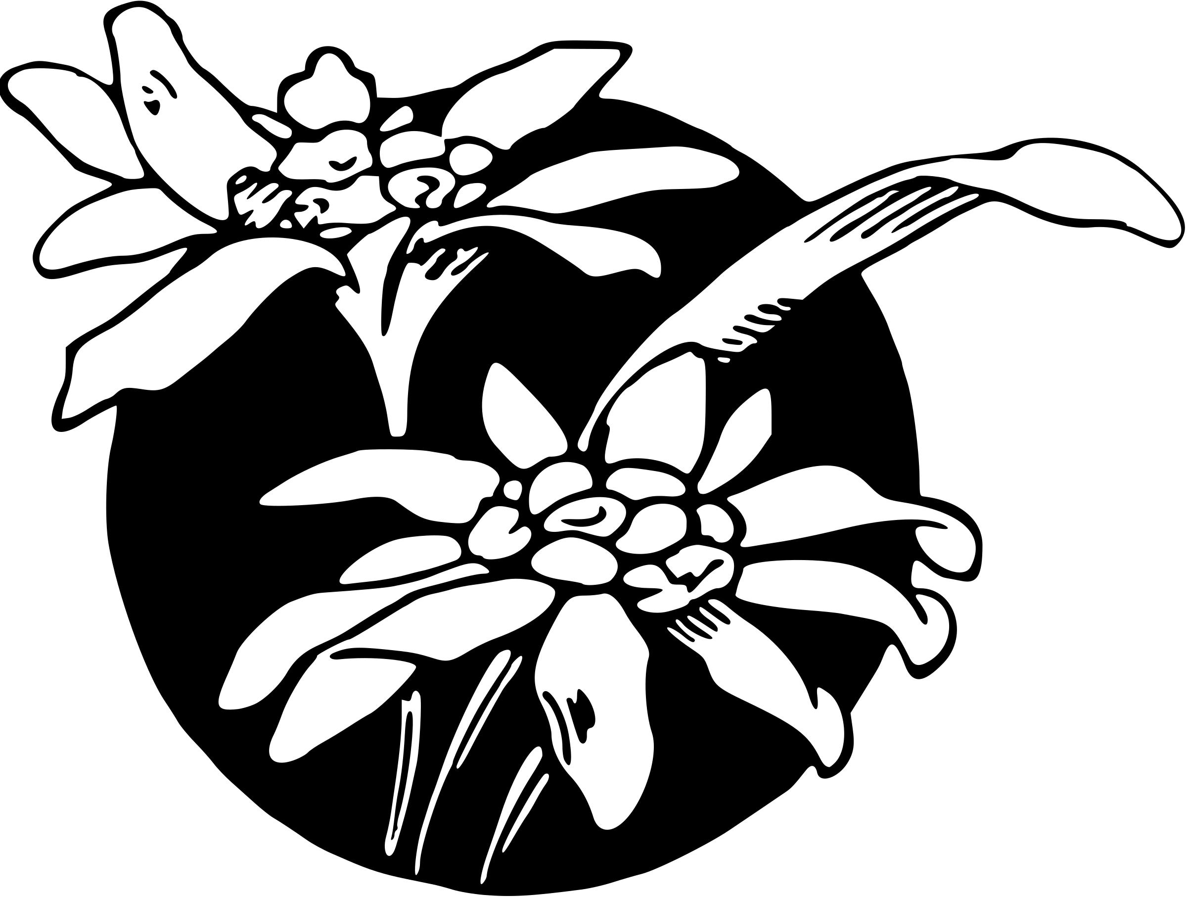 Flower 76 png