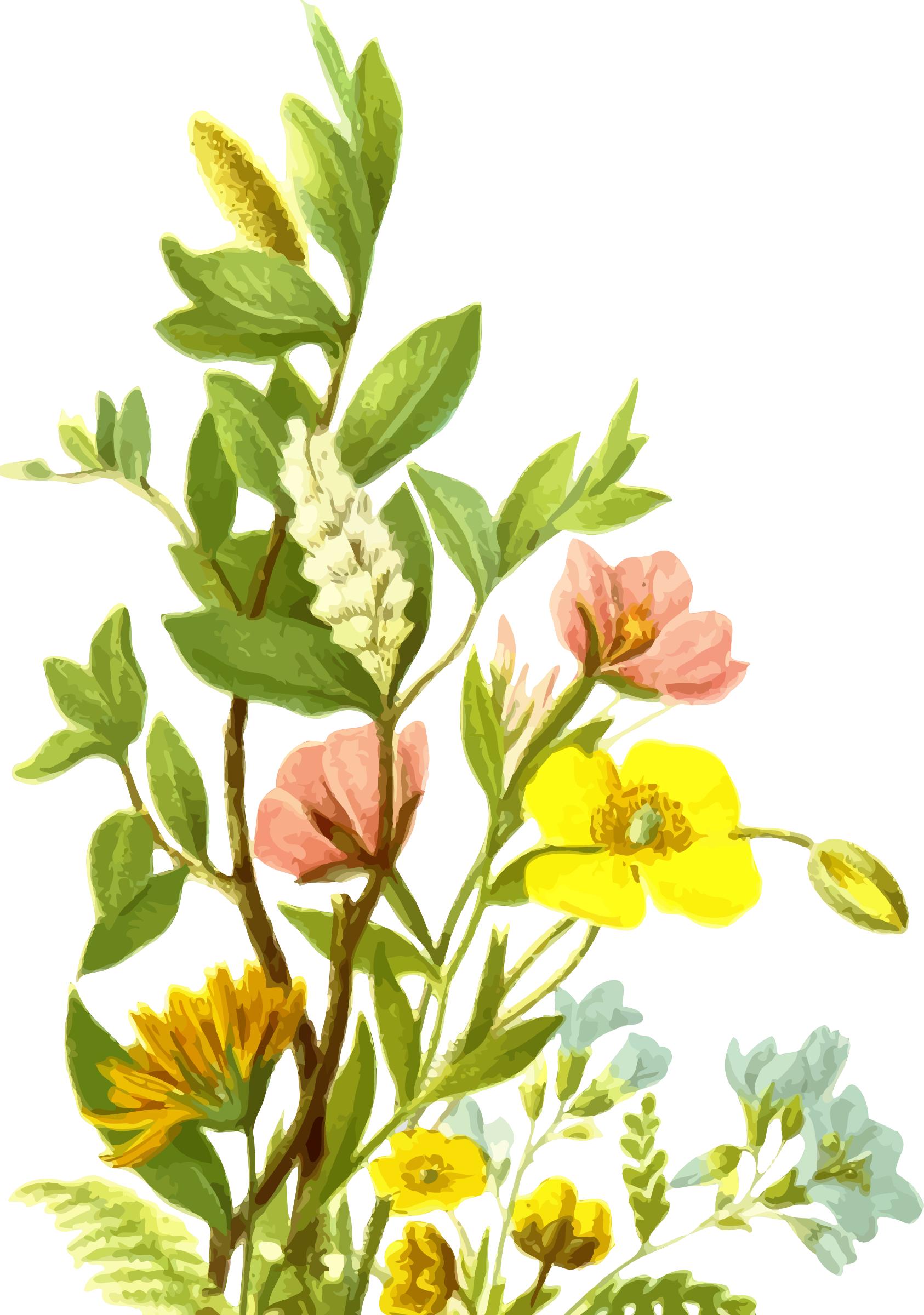 Flowers 14 png