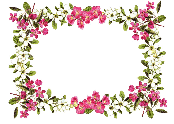 Flowers Frame Rose icons