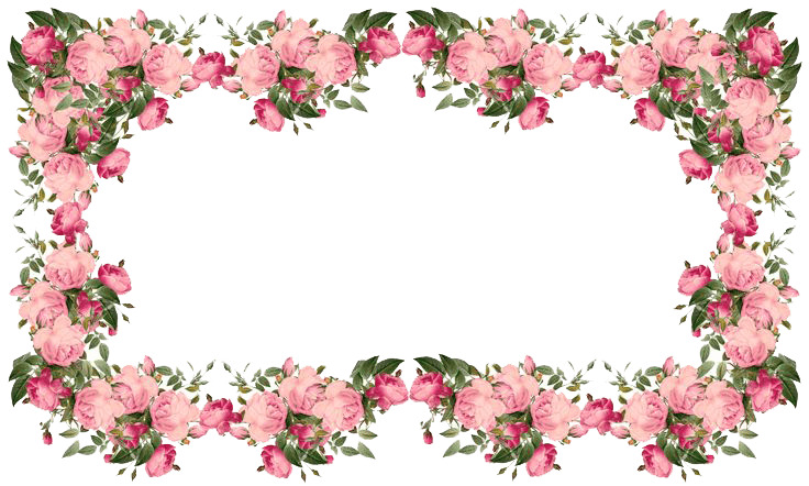 Flowers Pink Frame icons