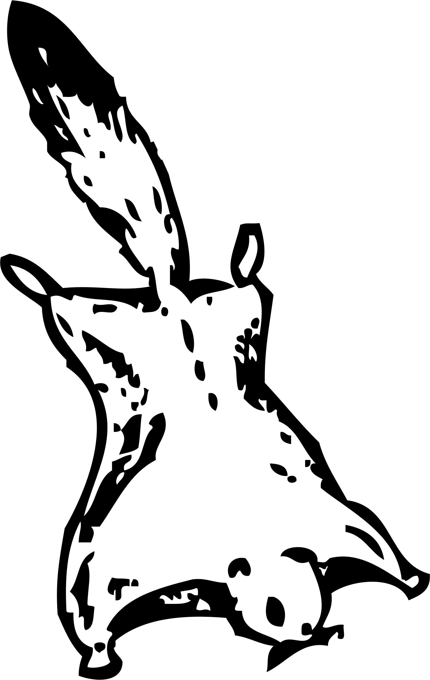 Flying Squirrel 1 png