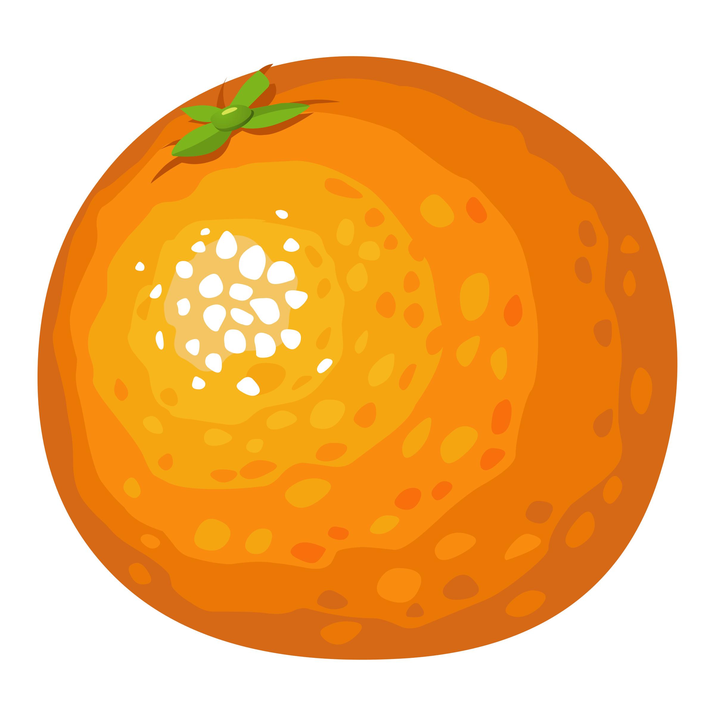 Food Orange png
